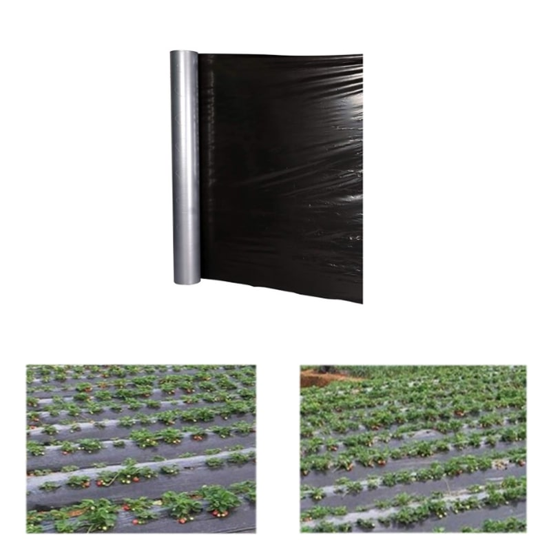 made-in-india-get-lowest-25-micron-mulching-sheet-400-meters